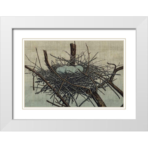 Nesting IV White Modern Wood Framed Art Print with Double Matting by Butler, John