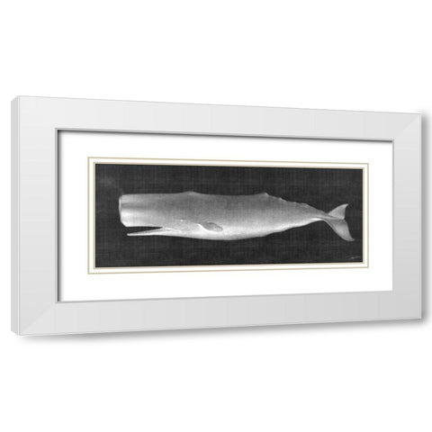 Whale Watching II White Modern Wood Framed Art Print with Double Matting by Butler, John