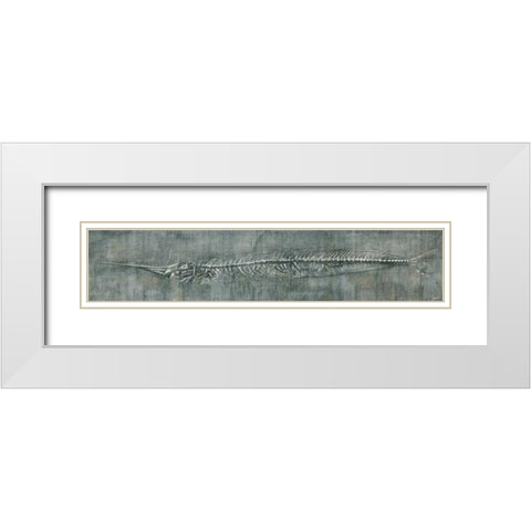 Fossil Imprint II White Modern Wood Framed Art Print with Double Matting by Butler, John