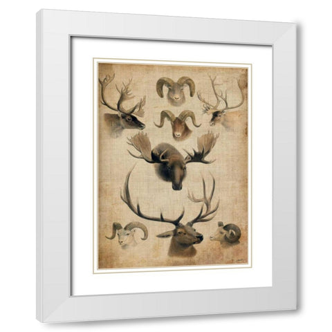 American Trophy I White Modern Wood Framed Art Print with Double Matting by Butler, John