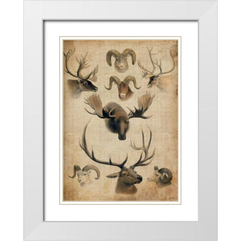 American Trophy I White Modern Wood Framed Art Print with Double Matting by Butler, John