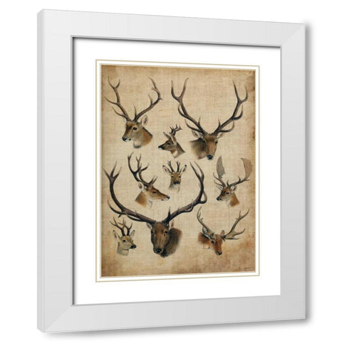 American Trophy II White Modern Wood Framed Art Print with Double Matting by Butler, John