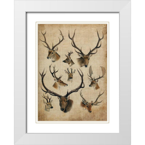 American Trophy II White Modern Wood Framed Art Print with Double Matting by Butler, John