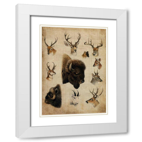 American Trophy III White Modern Wood Framed Art Print with Double Matting by Butler, John