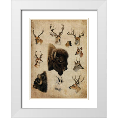 American Trophy III White Modern Wood Framed Art Print with Double Matting by Butler, John