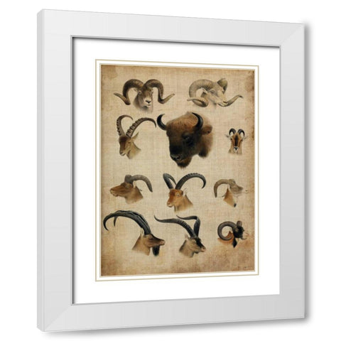 American Trophy IV White Modern Wood Framed Art Print with Double Matting by Butler, John