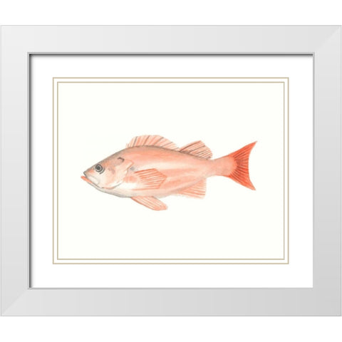 Watercolor Deep Sea Fish I White Modern Wood Framed Art Print with Double Matting by McCavitt, Naomi