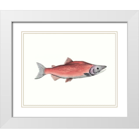 Watercolor Deep Sea Fish III White Modern Wood Framed Art Print with Double Matting by McCavitt, Naomi