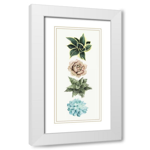 Row of Succulents I White Modern Wood Framed Art Print with Double Matting by Popp, Grace