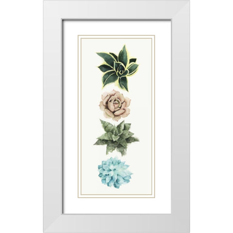 Row of Succulents I White Modern Wood Framed Art Print with Double Matting by Popp, Grace