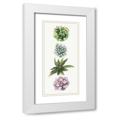 Row of Succulents II White Modern Wood Framed Art Print with Double Matting by Popp, Grace