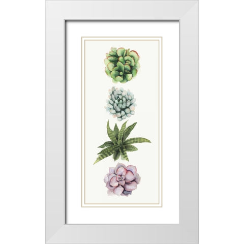 Row of Succulents II White Modern Wood Framed Art Print with Double Matting by Popp, Grace