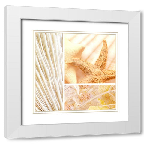 Spa Collage III White Modern Wood Framed Art Print with Double Matting by Orlov, Irena
