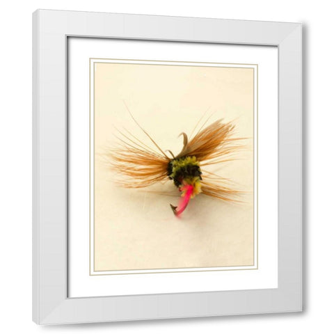 Macro Lure IV White Modern Wood Framed Art Print with Double Matting by Stalus, Judy