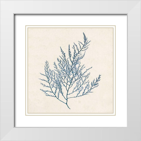Indigo Algae I White Modern Wood Framed Art Print with Double Matting by Goldberger, Jennifer