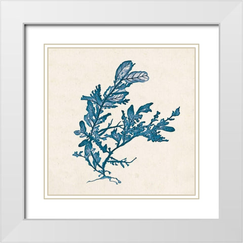 Indigo Algae III White Modern Wood Framed Art Print with Double Matting by Goldberger, Jennifer