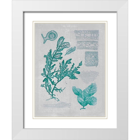 Teal Coral II White Modern Wood Framed Art Print with Double Matting by Goldberger, Jennifer
