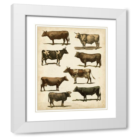 Antique Cow Chart White Modern Wood Framed Art Print with Double Matting by Vision Studio
