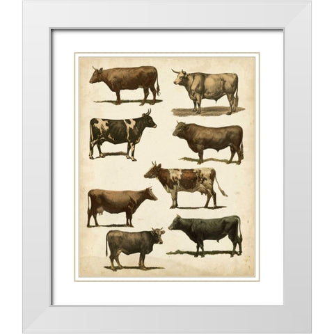 Antique Cow Chart White Modern Wood Framed Art Print with Double Matting by Vision Studio