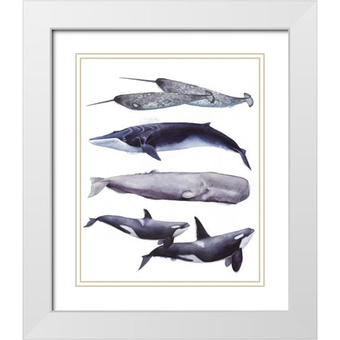 Whale Stack II White Modern Wood Framed Art Print with Double Matting by Popp, Grace