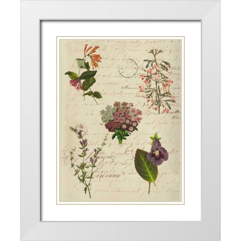 Postscript Flower Chart I White Modern Wood Framed Art Print with Double Matting by Goldberger, Jennifer