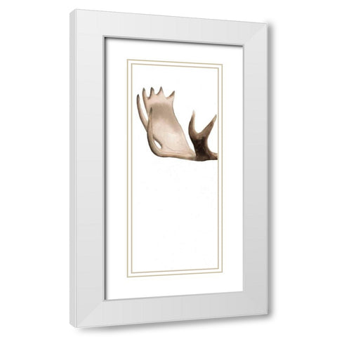 Triptych Moose I White Modern Wood Framed Art Print with Double Matting by Popp, Grace