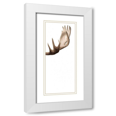 Triptych Moose III White Modern Wood Framed Art Print with Double Matting by Popp, Grace