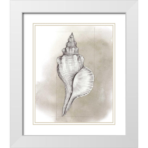Shell Diagram I White Modern Wood Framed Art Print with Double Matting by Popp, Grace