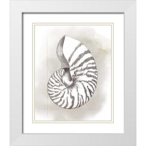 Shell Diagram III White Modern Wood Framed Art Print with Double Matting by Popp, Grace