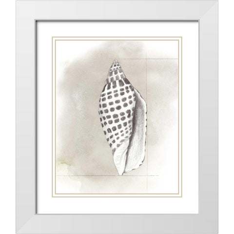Shell Diagram IV White Modern Wood Framed Art Print with Double Matting by Popp, Grace