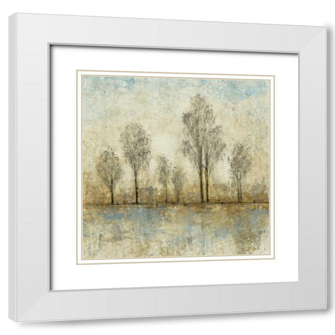 Quiet Nature III White Modern Wood Framed Art Print with Double Matting by OToole, Tim