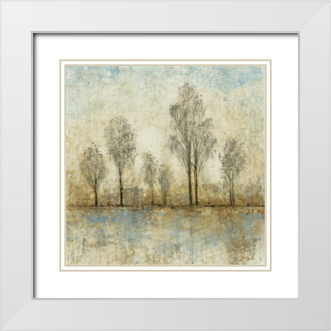 Quiet Nature III White Modern Wood Framed Art Print with Double Matting by OToole, Tim