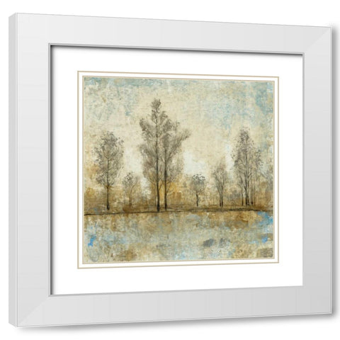 Quiet Nature IV White Modern Wood Framed Art Print with Double Matting by OToole, Tim