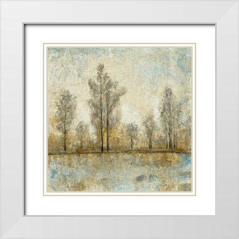 Quiet Nature IV White Modern Wood Framed Art Print with Double Matting by OToole, Tim