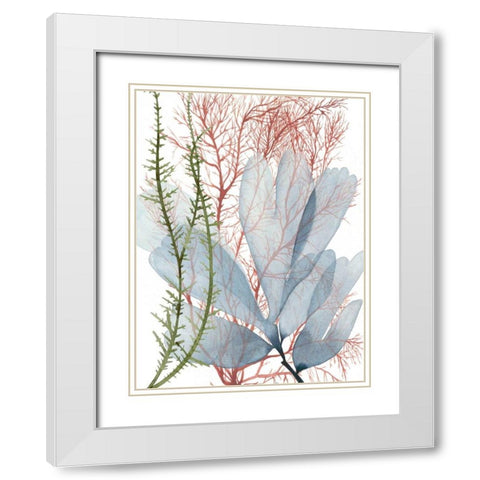 Seaweed Flow I White Modern Wood Framed Art Print with Double Matting by Popp, Grace