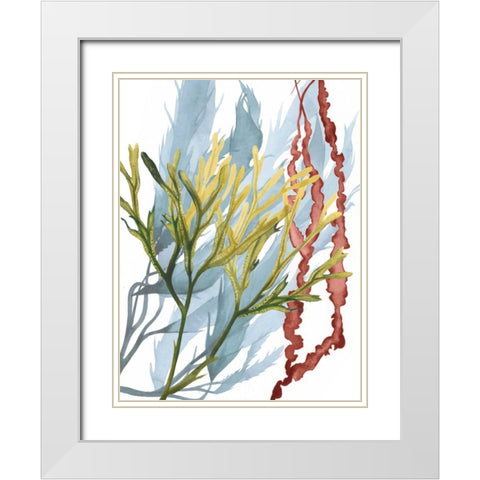 Seaweed Flow II White Modern Wood Framed Art Print with Double Matting by Popp, Grace