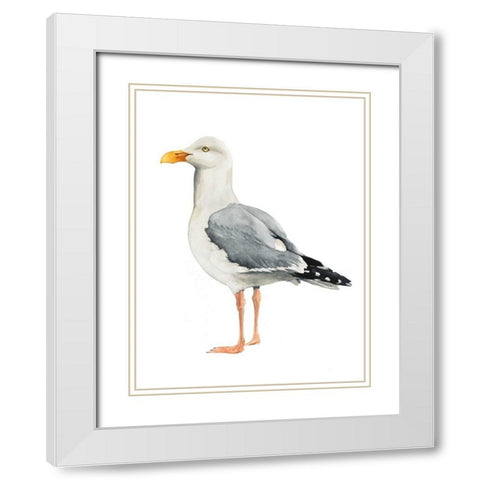 Sea Bird II White Modern Wood Framed Art Print with Double Matting by Popp, Grace