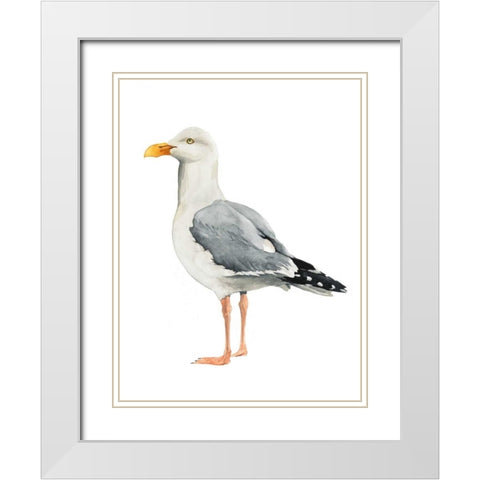 Sea Bird II White Modern Wood Framed Art Print with Double Matting by Popp, Grace