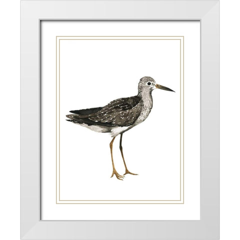 Sea Bird III White Modern Wood Framed Art Print with Double Matting by Popp, Grace