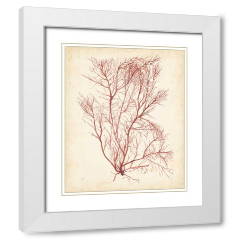 Watercolor Sea Grass I White Modern Wood Framed Art Print with Double Matting by Popp, Grace
