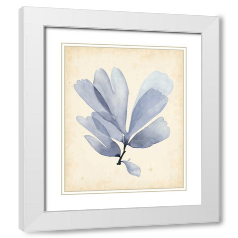 Watercolor Sea Grass II White Modern Wood Framed Art Print with Double Matting by Popp, Grace