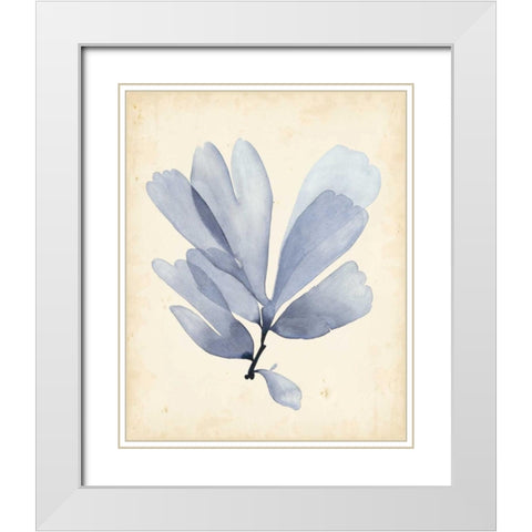 Watercolor Sea Grass II White Modern Wood Framed Art Print with Double Matting by Popp, Grace