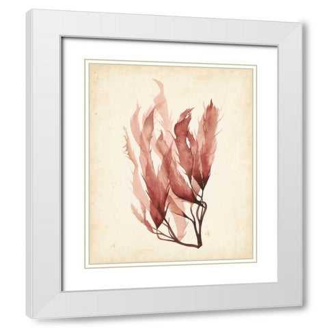 Watercolor Sea Grass IV White Modern Wood Framed Art Print with Double Matting by Popp, Grace