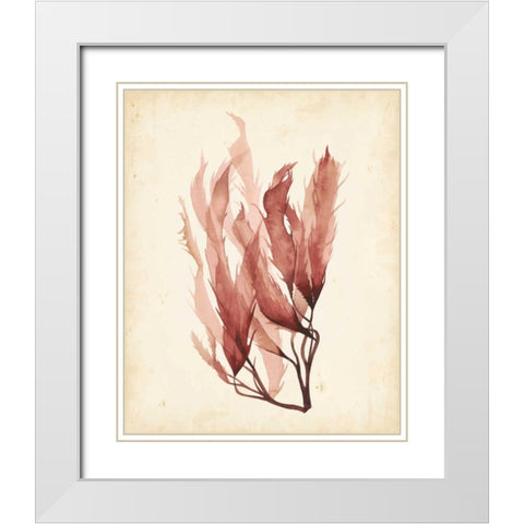 Watercolor Sea Grass IV White Modern Wood Framed Art Print with Double Matting by Popp, Grace