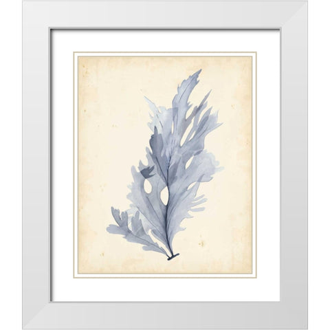 Watercolor Sea Grass VI White Modern Wood Framed Art Print with Double Matting by Popp, Grace