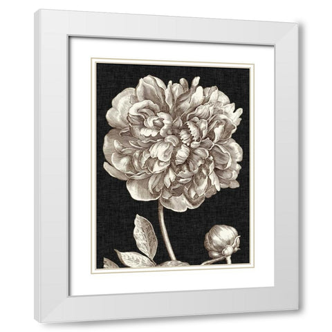 Dramatic Peony I White Modern Wood Framed Art Print with Double Matting by Vision Studio