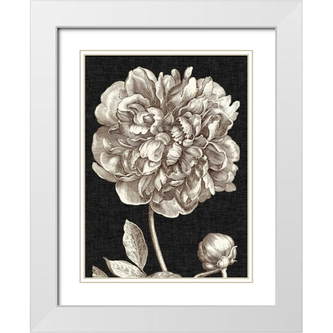 Dramatic Peony I White Modern Wood Framed Art Print with Double Matting by Vision Studio