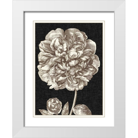 Dramatic Peony II White Modern Wood Framed Art Print with Double Matting by Vision Studio