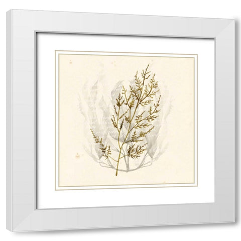 Vivid Algae I White Modern Wood Framed Art Print with Double Matting by Popp, Grace