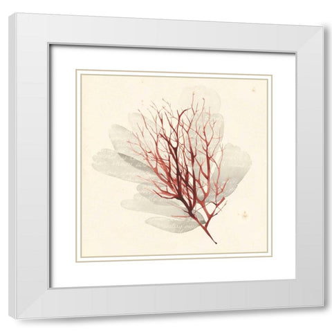 Vivid Algae II White Modern Wood Framed Art Print with Double Matting by Popp, Grace